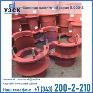 Сальники нажимные серия 5.900-3 в Хасавюрте